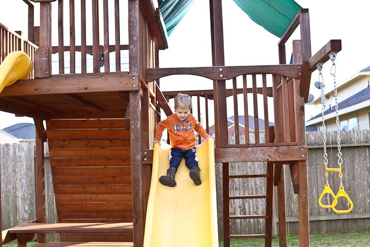  photo Backyard-7_zps73fcbfaa.jpg