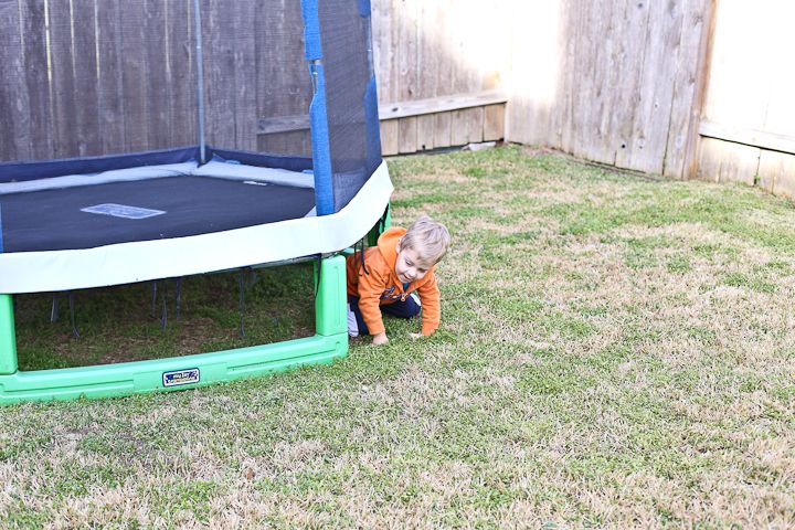  photo Backyard-8_zpsdbaa9516.jpg