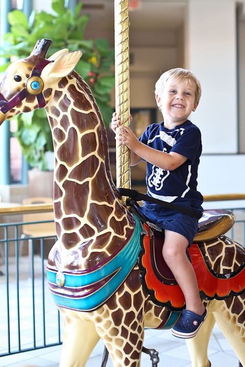  photo Carousel-2_zpsa4d1ff61.jpg