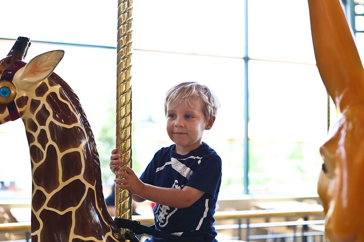  photo Carousel-6_zps8daa4eb9.jpg