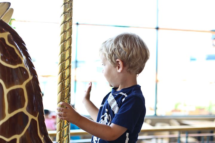  photo Carousel-7_zpsc37a57f1.jpg