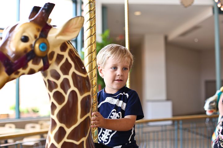  photo Carousel-8_zps8c9caf38.jpg