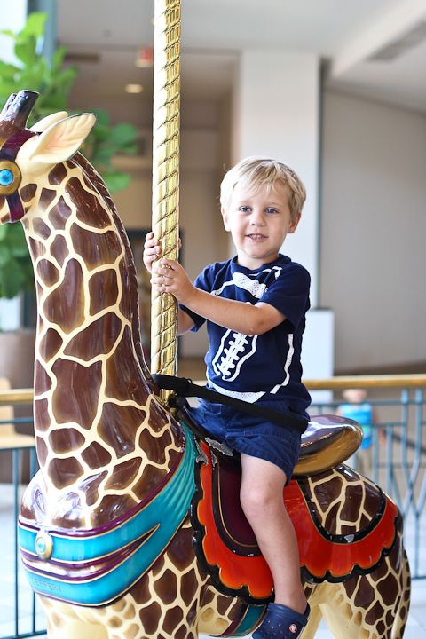  photo Carousel_zpsbdaf9a25.jpg