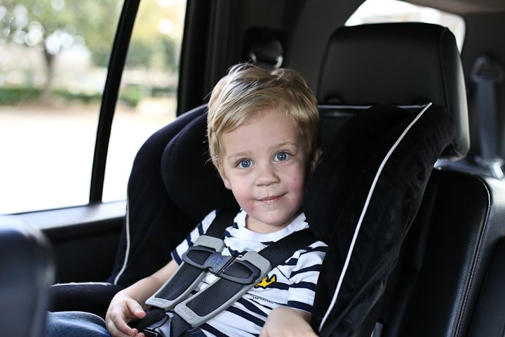  photo PoolPark-11_zps942faffb.jpg