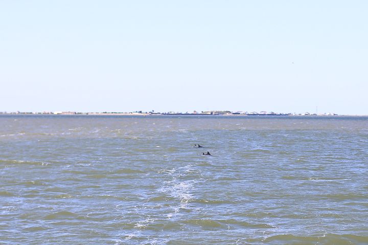  photo Galveston-25_zps0bcda499.jpg