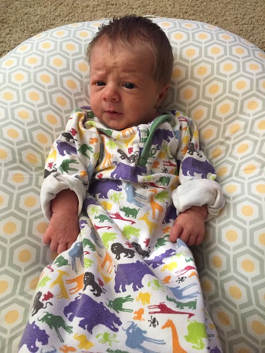  photo Cellphonecatchup-27_zps61dec6b7.jpg