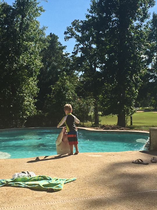  photo CowboysvsTexansandfirstswim-11_zps4dce4937.jpg