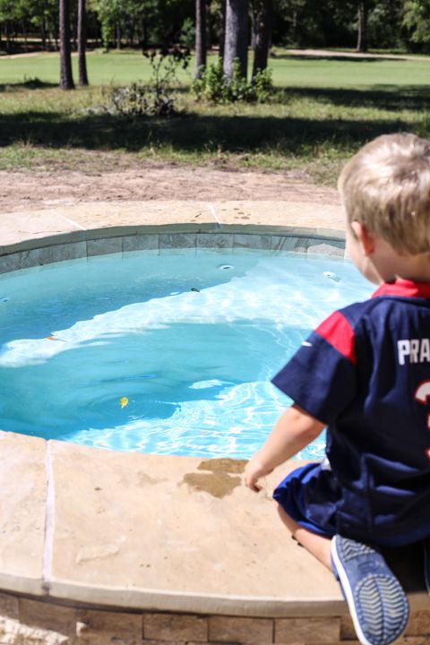  photo Texans-5_zps75179c86.jpg