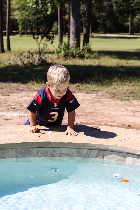  photo Texans-6_zpsc20d877a.jpg