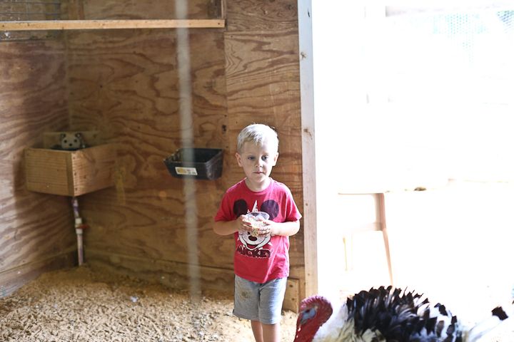  photo Recent-10_zpsba2e6086.jpg