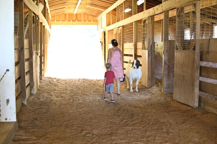  photo Recent-7_zps26e9ec1e.jpg