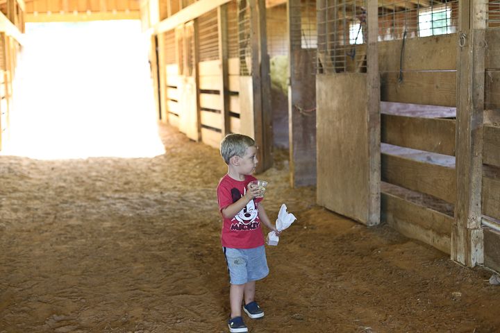  photo Recent-8_zps6c87cd89.jpg