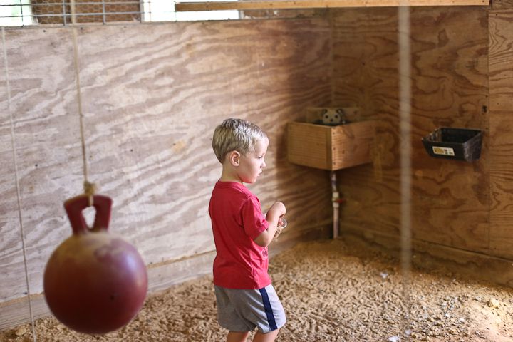  photo Recent-9_zps601cabb9.jpg