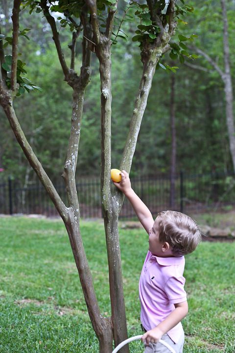  photo Easter-76_zpsmktjcoms.jpg