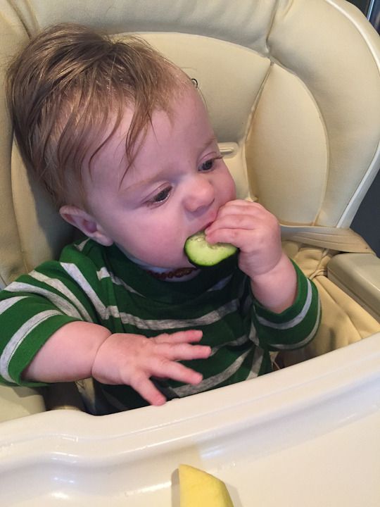  photo This week-11_zpsq4gnaijq.jpg