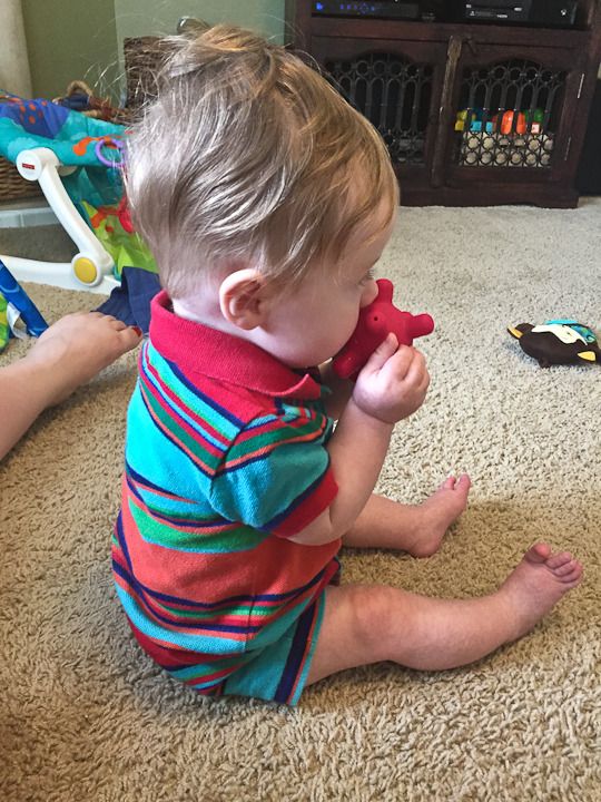  photo This week-25_zpswaeotqjp.jpg