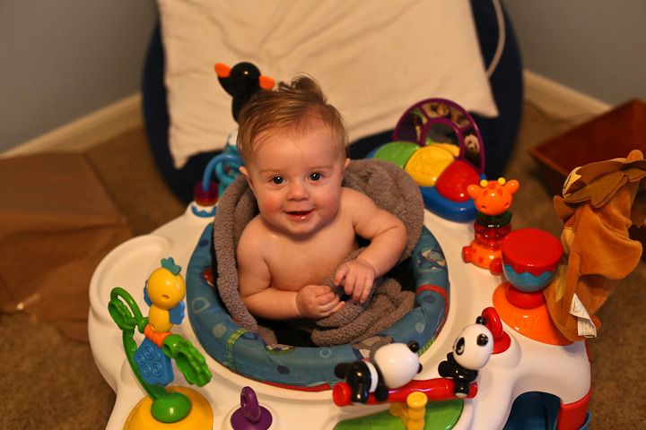  photo A- exsaucer and avocado_zpsuqgis4se.jpg