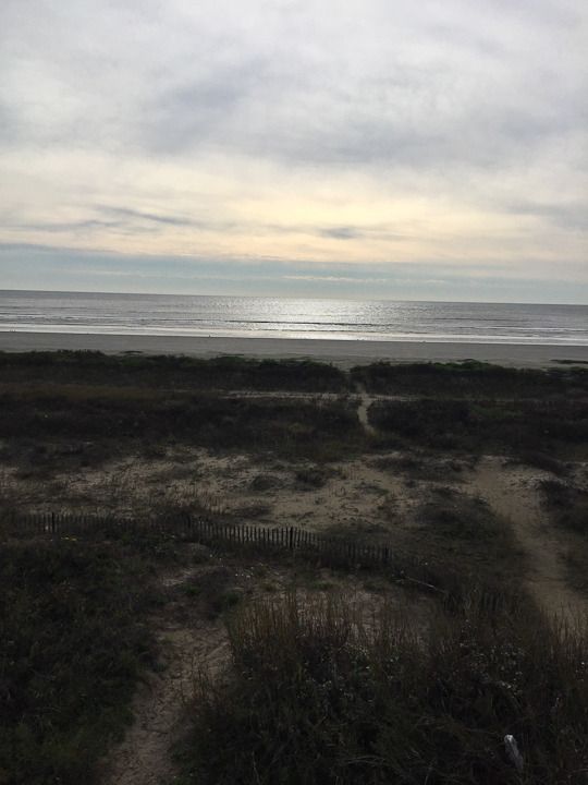  photo New-10_zpscz5jtgbi.jpg