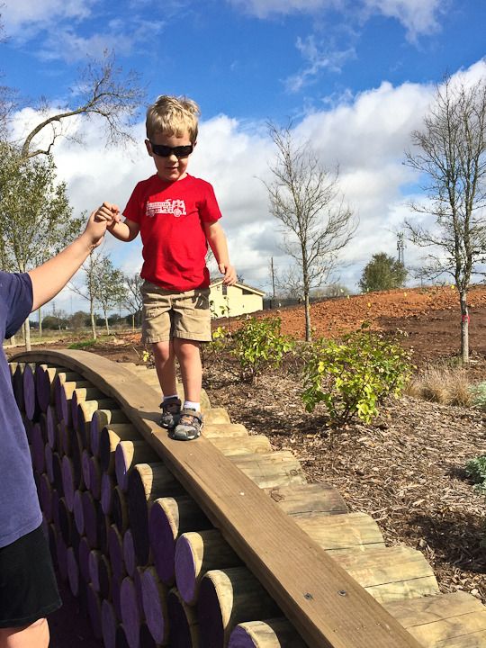  photo New2-64_zpstf9pphv9.jpg