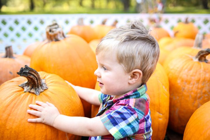  photo Blog-10_zpsdytjn639.jpg