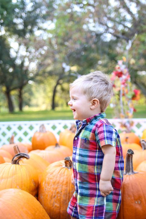  photo Blog-26_zpsot04gknm.jpg