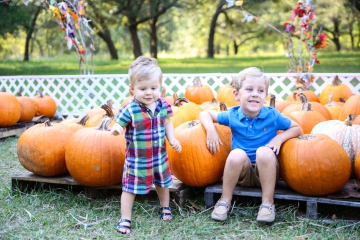  photo Blog-3_zpsugei8wbv.jpg