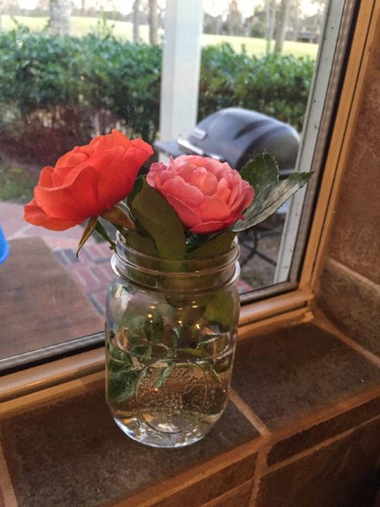  photo Fireworks-9_zpsb5f1rdtl.jpg