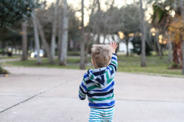  photo January-12_zpsmsqnedmq.jpg