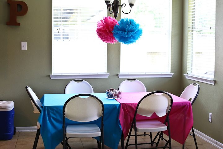  photo GenderRevealParty-14_zpsed7da35c.jpg