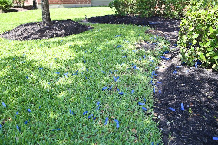  photo GenderRevealParty-52_zps2f82683a.jpg