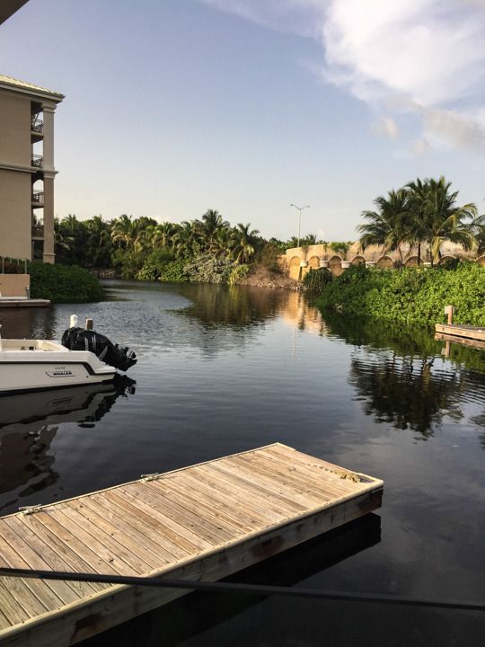  photo Grand Cayman-105_zpssgesvoea.jpg