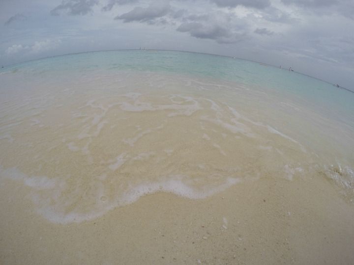  photo Grand Cayman-114_zpstu1ray4c.jpg