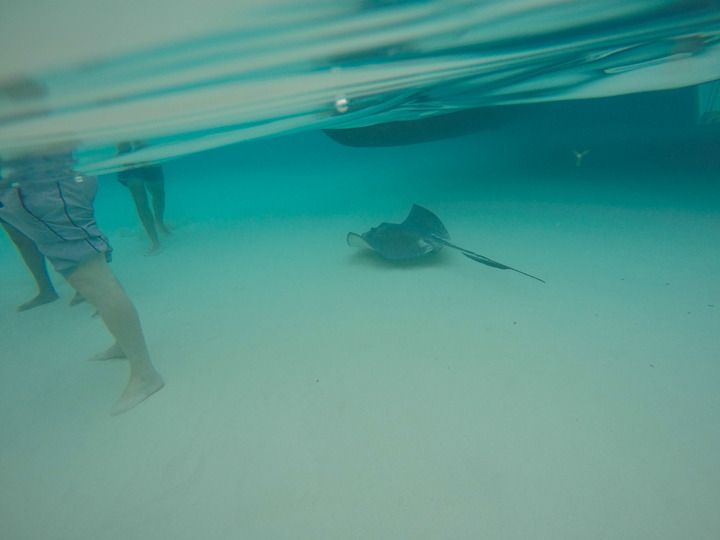  photo Grand Cayman-11_zpsvjsa5a5q.jpg