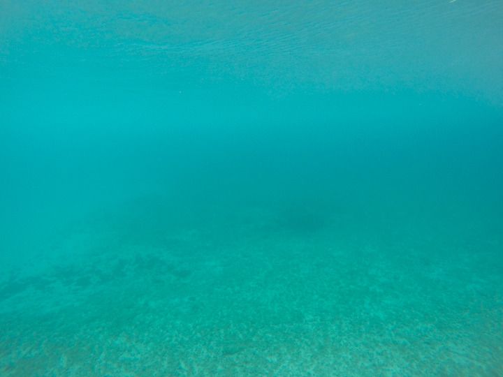  photo Grand Cayman-156_zpsinuxgycw.jpg