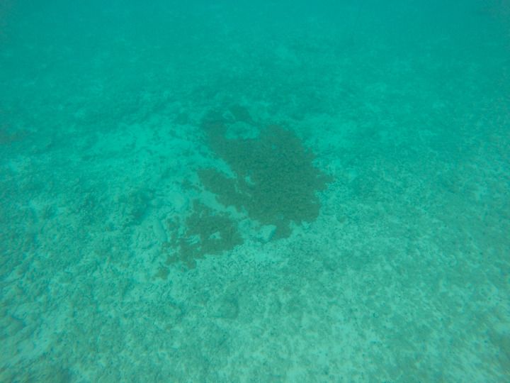  photo Grand Cayman-158_zpskv9kgsz2.jpg