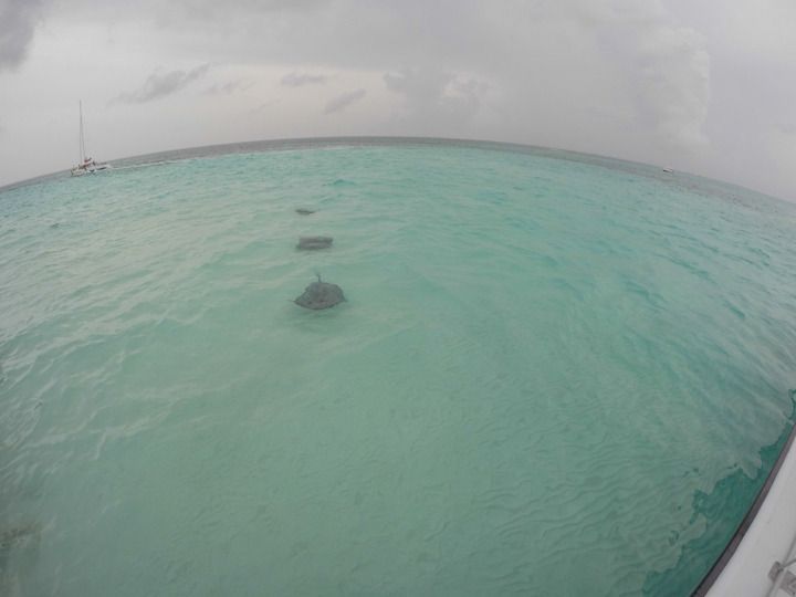  photo Grand Cayman-15_zpswxtijgc5.jpg