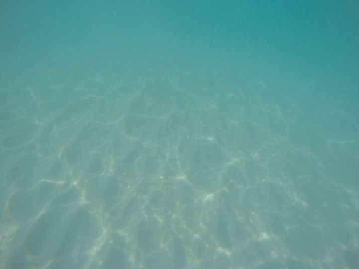  photo Grand Cayman-161_zps7cazj6zf.jpg