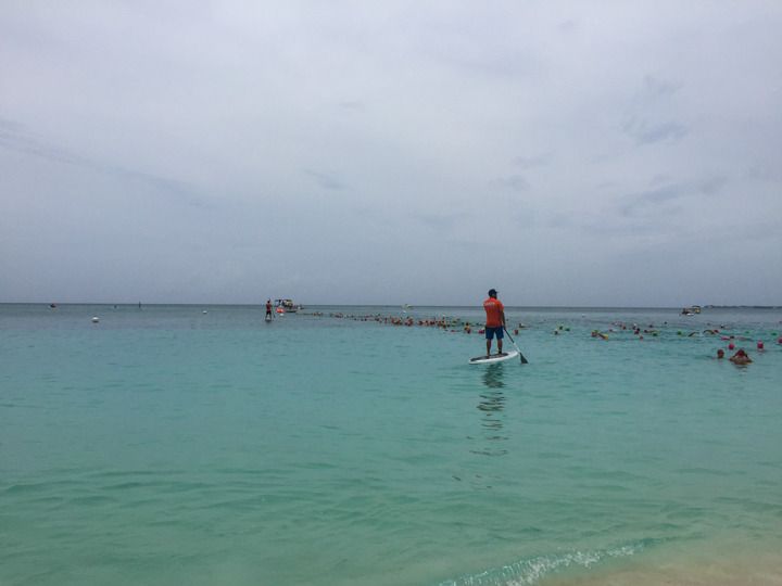  photo Grand Cayman-165_zpscdu5qlla.jpg