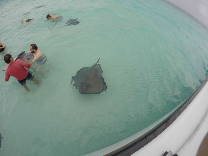  photo Grand Cayman-17_zps3obp5ubg.jpg