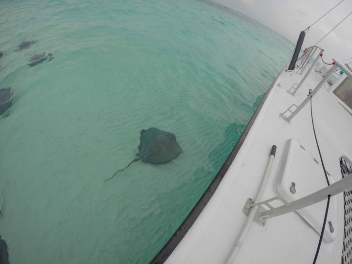  photo Grand Cayman-18_zpsj0zlz2ky.jpg