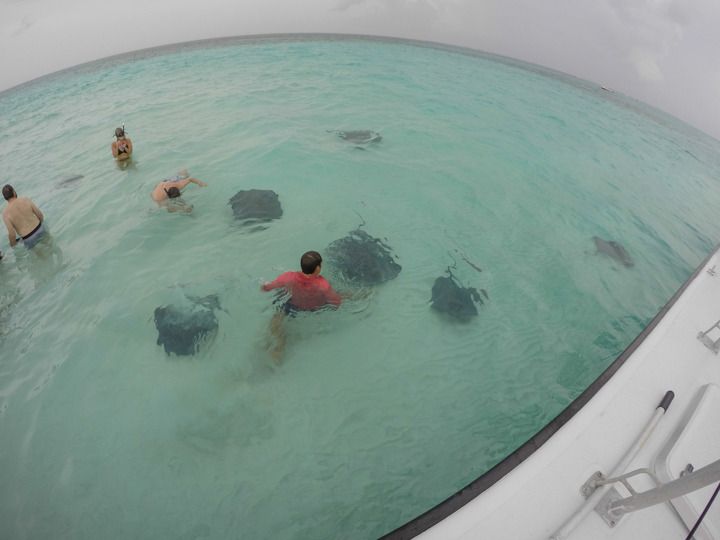  photo Grand Cayman-19_zpsmiweflen.jpg