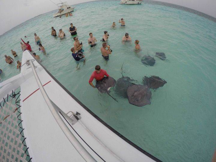  photo Grand Cayman-20_zpsltqrwmef.jpg