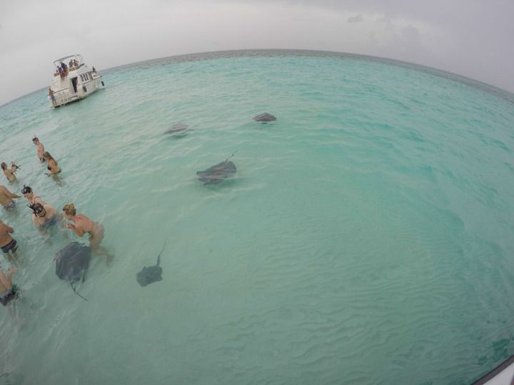  photo Grand Cayman-21_zpsjvb0jzpb.jpg