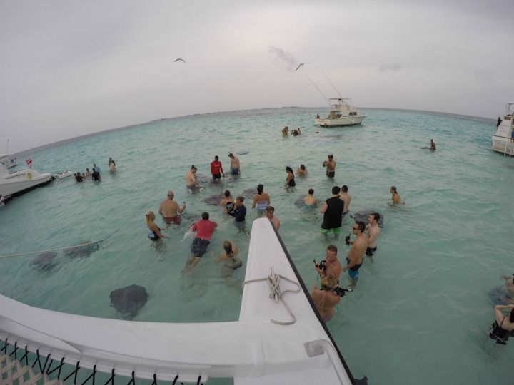  photo Grand Cayman-22_zpsc54owrtx.jpg