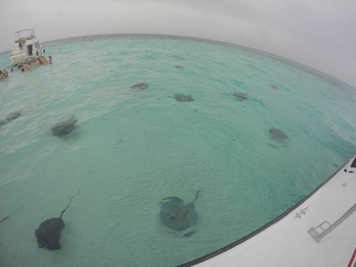  photo Grand Cayman-23_zpsx4h2kcod.jpg