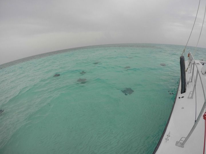  photo Grand Cayman-25_zpsnczyje6t.jpg