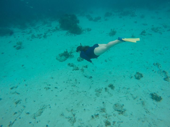  photo Grand Cayman-32_zpswdqkmz3g.jpg