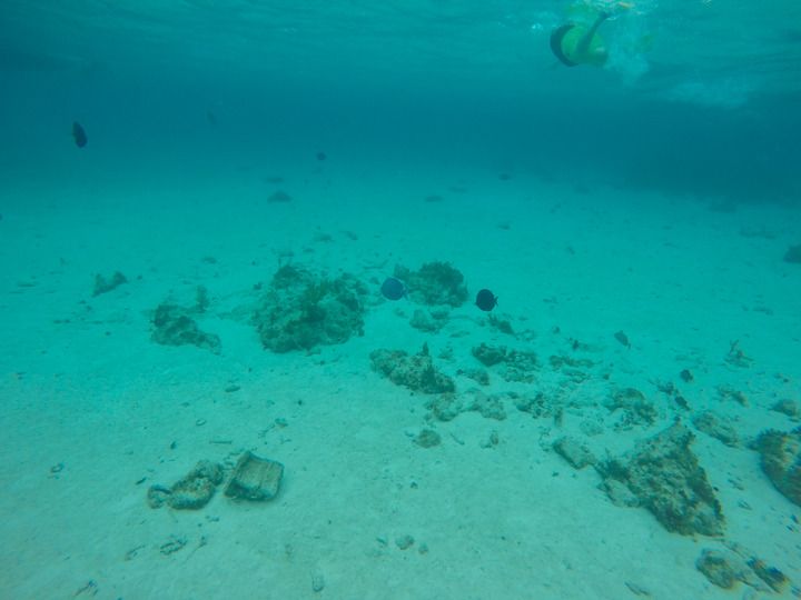  photo Grand Cayman-36_zps8rthkoqq.jpg