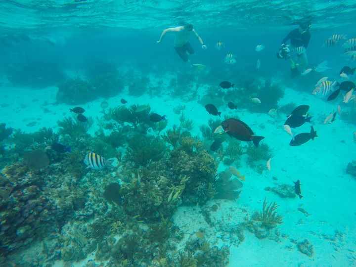  photo Grand Cayman-37_zpsvc49waqs.jpg