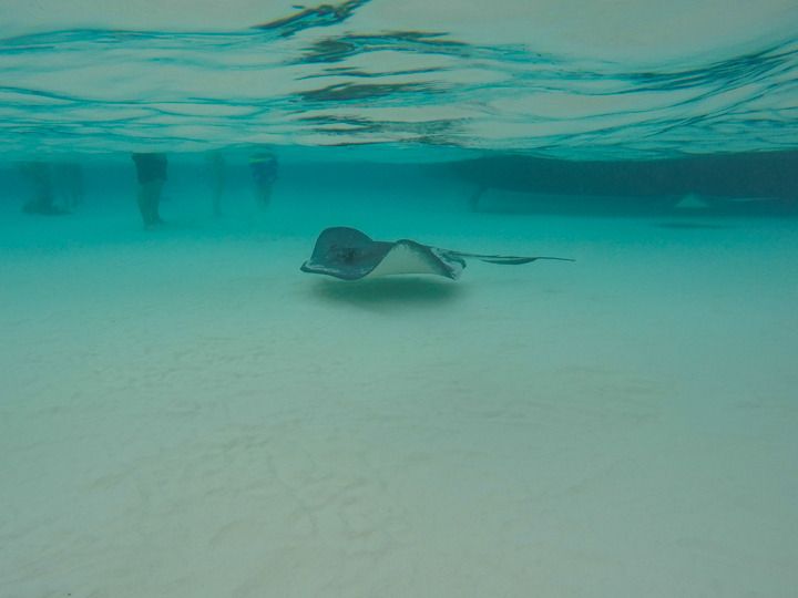  photo Grand Cayman-3_zpsivi0kyed.jpg